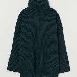 Ribbed Turtleneck Sweater